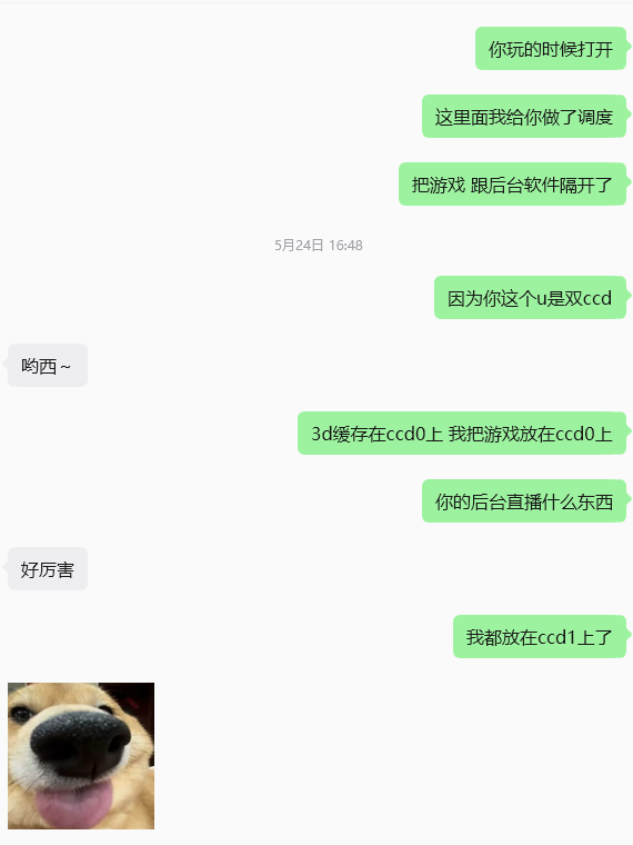 X3D 双 CCD 核心调度