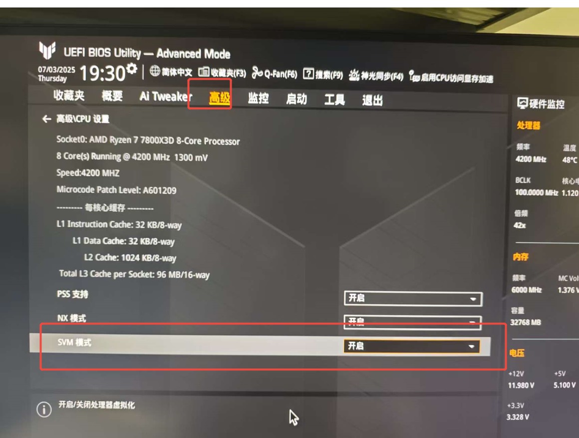 华硕:高级里打开 SVM 模式